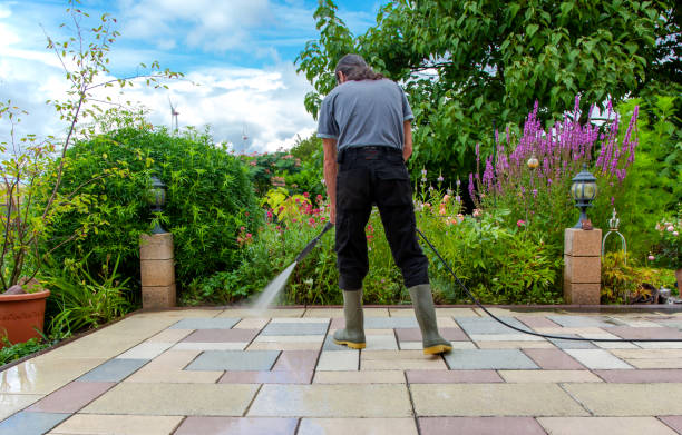 Best Spring Cleaning  in Parkville, MD