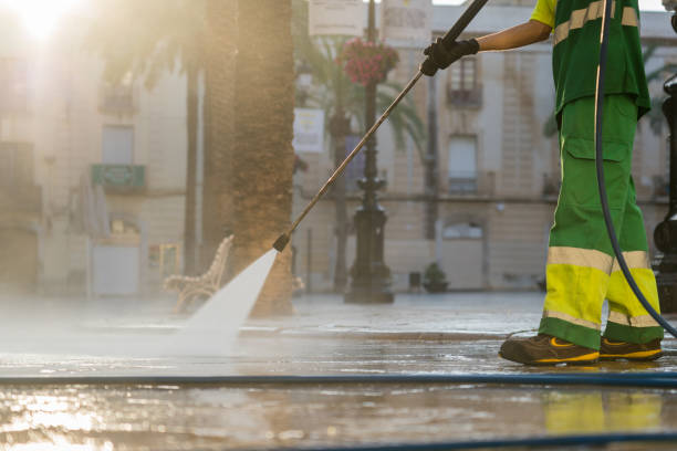 Pre-Holiday Cleaning in Parkville, MD
